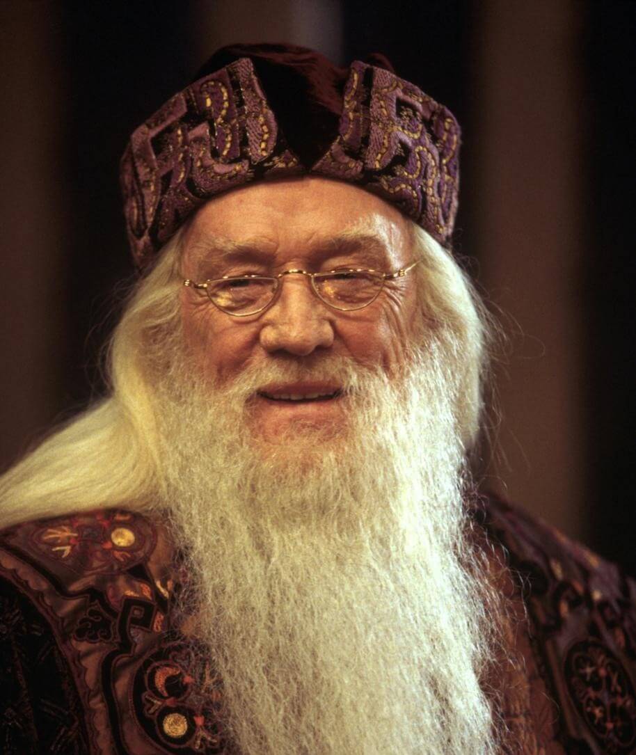 Portrét Albuse Brumbála