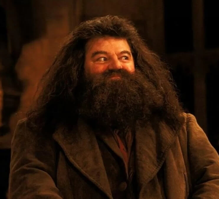 Portrét Rubeuse Hagrida