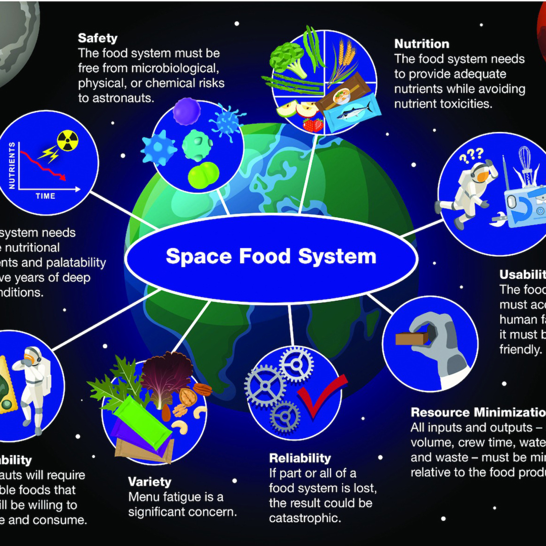 Blog Image 5