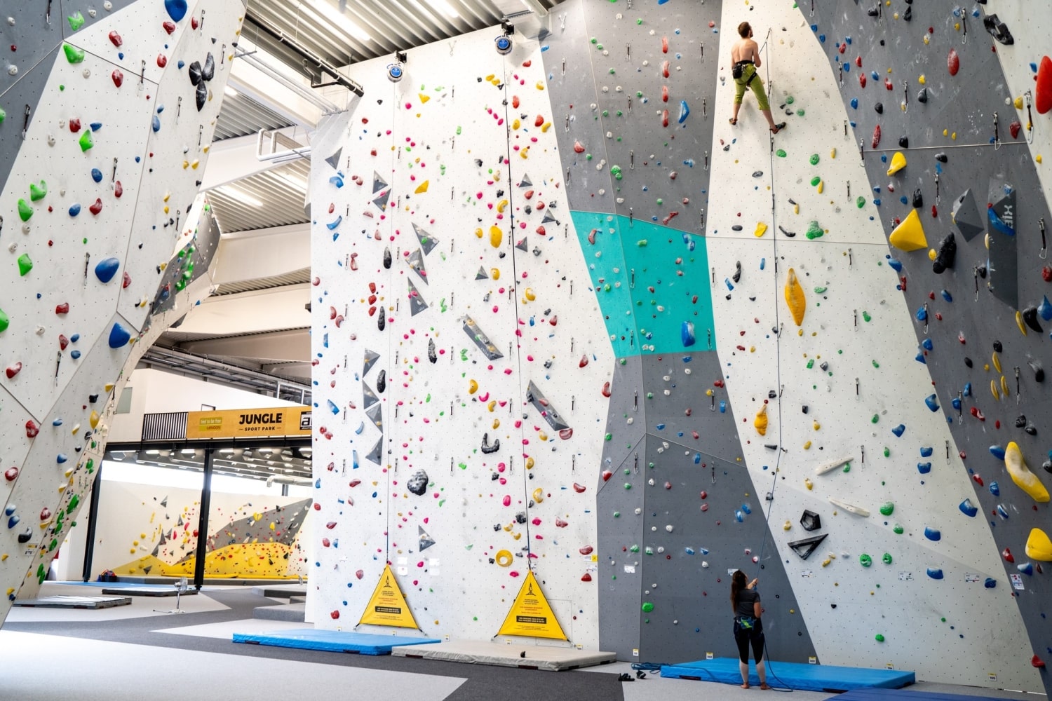 Obrázek lezecké stěny Jungle sport park