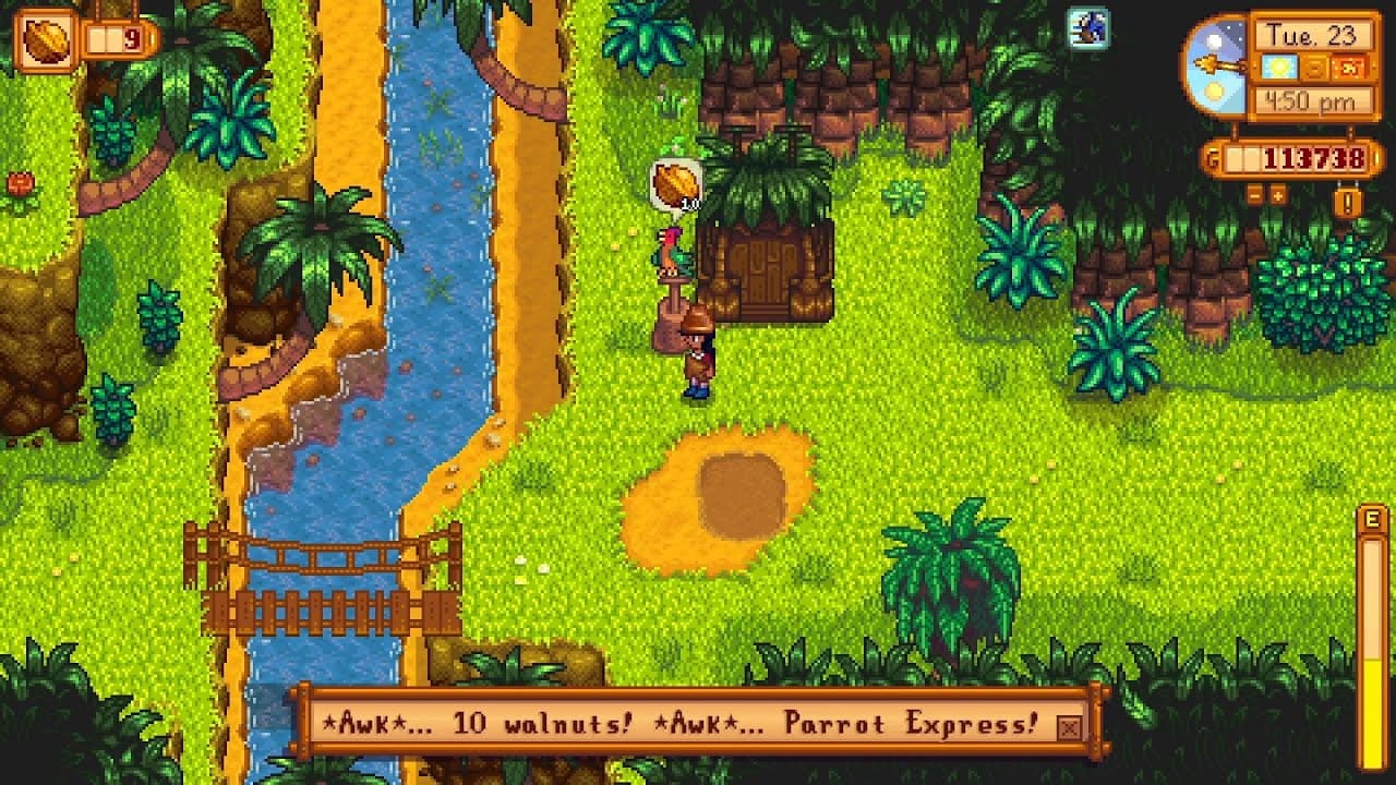 Parrot Express