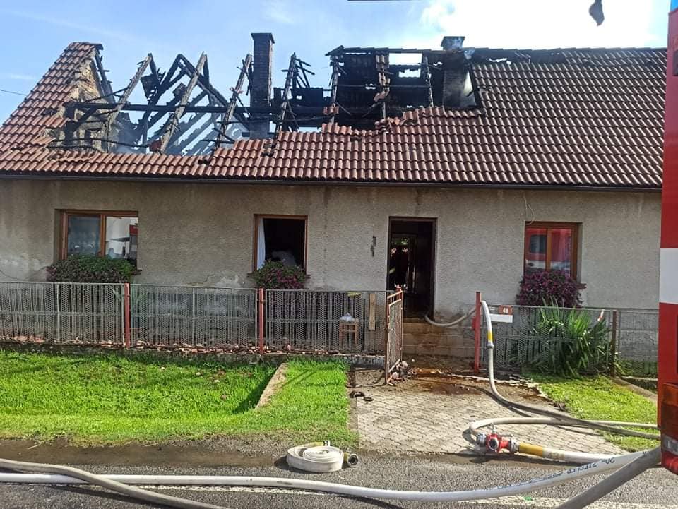 Hasiči při hašení lesního porostu